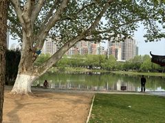 -堤角公园