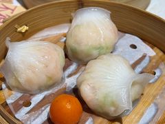 -点都德·毕德寮