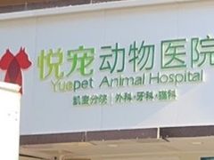 -悦宠凯宝动物医院·牙科·皮肤科(朝阳北路店)