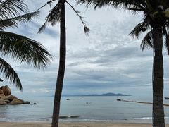 -那琴半岛地质海洋公园