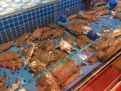 -蓝钻·国际美食海鲜自助百汇(西直门店)