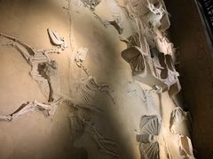 -洛阳周王城天子驾六博物馆