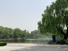 -百脉泉景区
