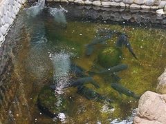 -耕渔小院·湖南鱼鲜(望城店)