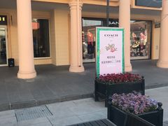 -COACH蔻驰(赛特奥特莱斯店)