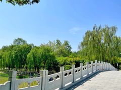 -大兴滨河森林公园