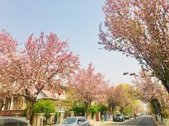 -天津五大道文化旅游区