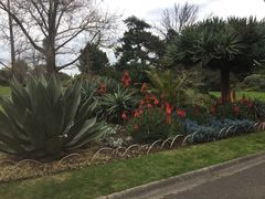 -墨尔本皇家植物园