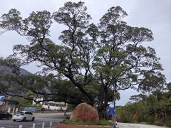 -牛鱼嘴原始生态风景区