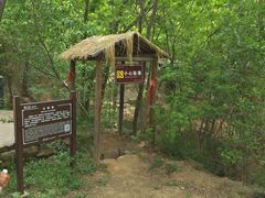 -黄金寨原生态旅游区