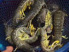 -幸福姐海鲜大排档