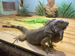 -石家庄市动物园