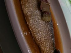 酒糟蒸鲥鱼-苔圣园酒家(尊木汇国际艺术广场店)
