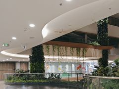-探鱼·鲜青椒爽麻烤鱼(天河优托邦店)