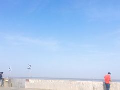 -南汇嘴观海公园