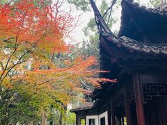 -汇龙潭