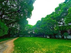 -上海宋庆龄故居纪念馆