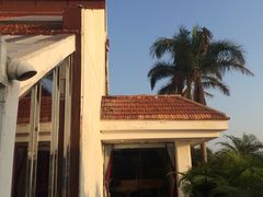 -鼓浪屿钢琴博物馆