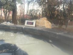 -东海森林温泉度假酒店