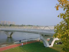 -西安浐灞国家湿地公园