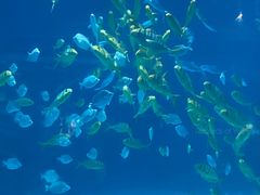 -常州海昌海洋探索馆