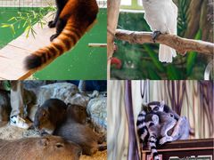 -海合安武汉极地海洋公园