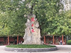 -龙头寺公园
