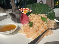 龙井虾仁-山外山·林语花园餐厅