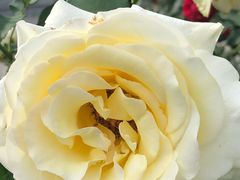 -龙口南山旅游景区