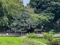 -成都市活水公园