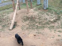 -五龙山野生动物王国