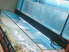 -非烤勿扰自助烤肉(合胜百货店)