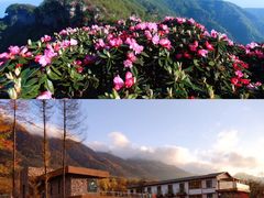 -光雾山旅游景区