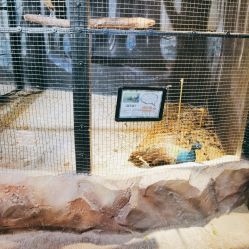 -酷嗒动物文化乐园(cutezoo西溪乐天城店)