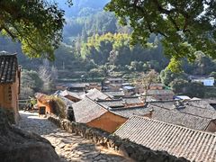 -杨家堂村