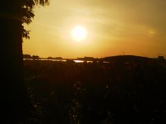 -贡湖湾湿地公园