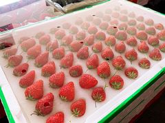 -南京众彩农副产品配送有限公司