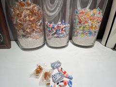 -金色希望596
