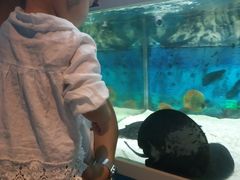 -绍兴梦享海洋公园