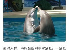 -哈尔滨极地公园