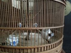-王家大院