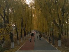 -大兴滨河森林公园