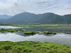 -腾冲北海湿地