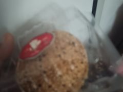 -白玉兰食品(中山公园龙之梦店)