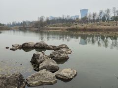 -桂溪生态公园