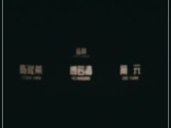 -万达影城(汉街万达广场IMAX店)