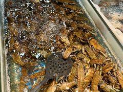 -争先鲜·蒸汽海鲜自助·鲜切牛肉