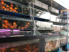 -新安农副产品批发市场