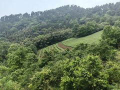 -敬亭山风景名胜区