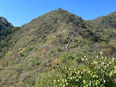 -大岭沟猕猴桃谷风景区